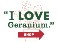 Thelma adore le parfum de géranium. Magasiner le parfum de géranium
